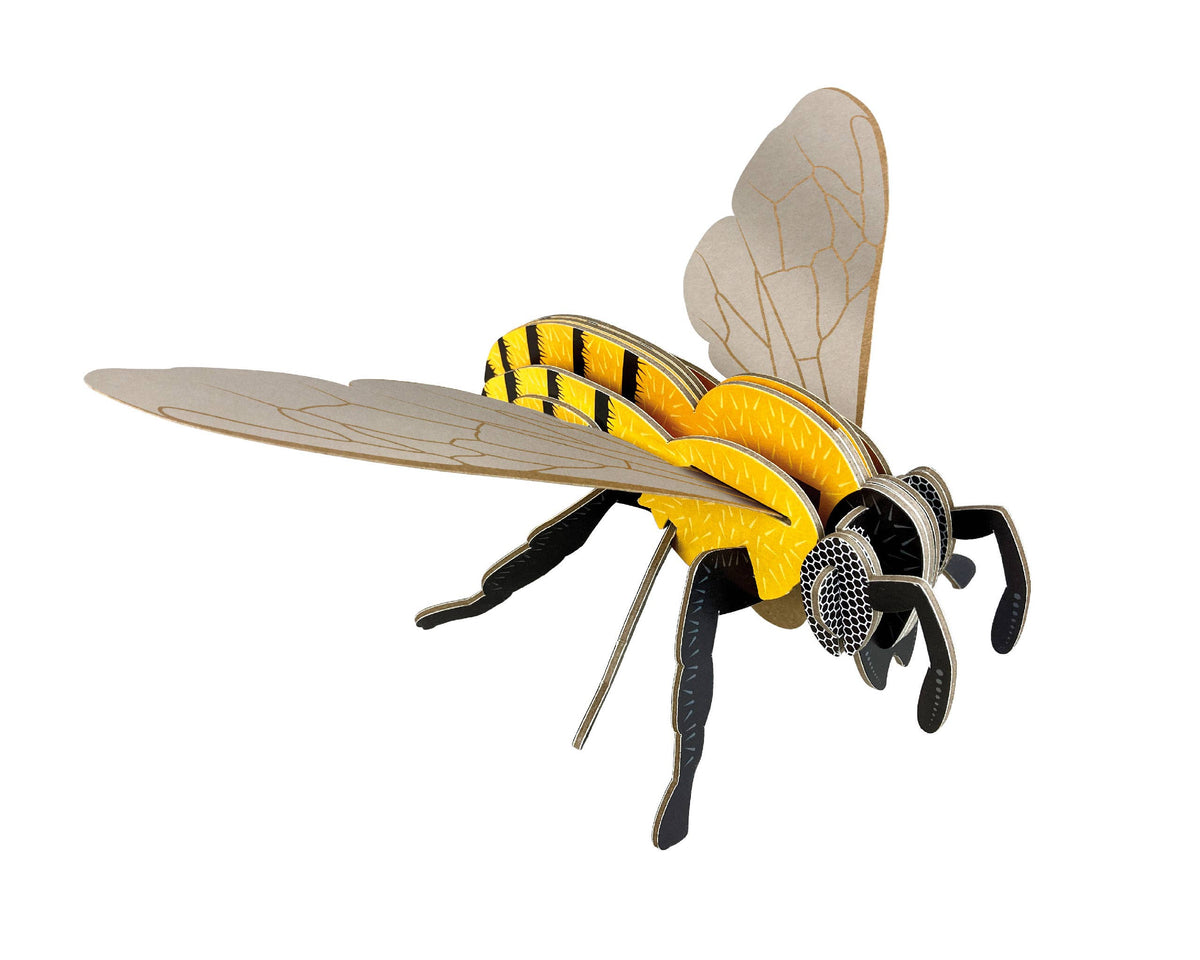 Build Your Own Honey Bee - Eco-Friendly Cardboard Craft Kit