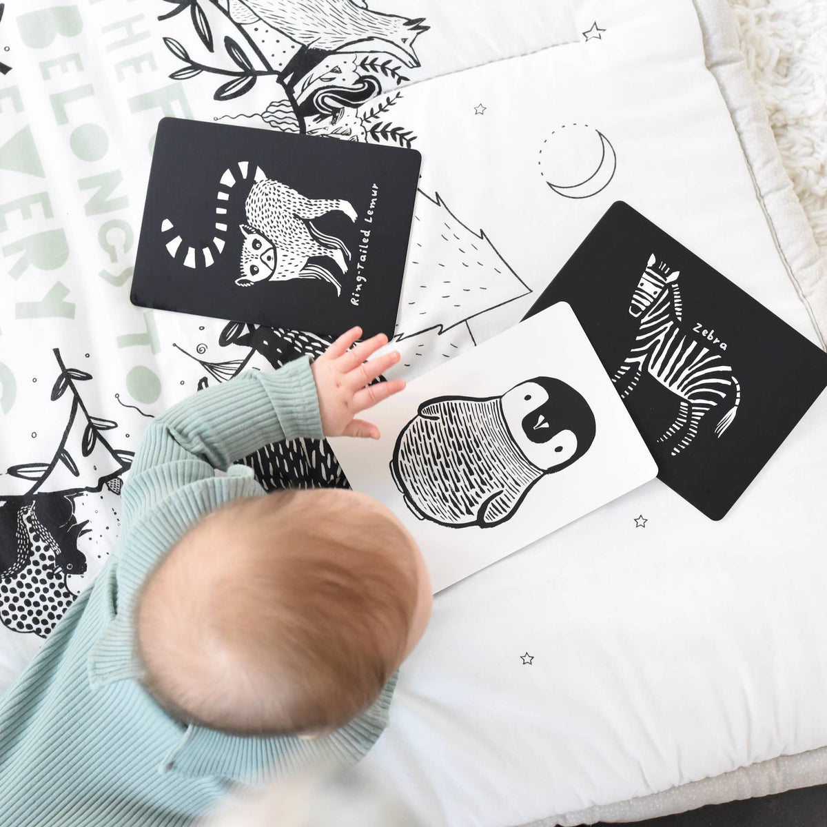 Art Cards for Baby - Black and White Animals - Flash Cards