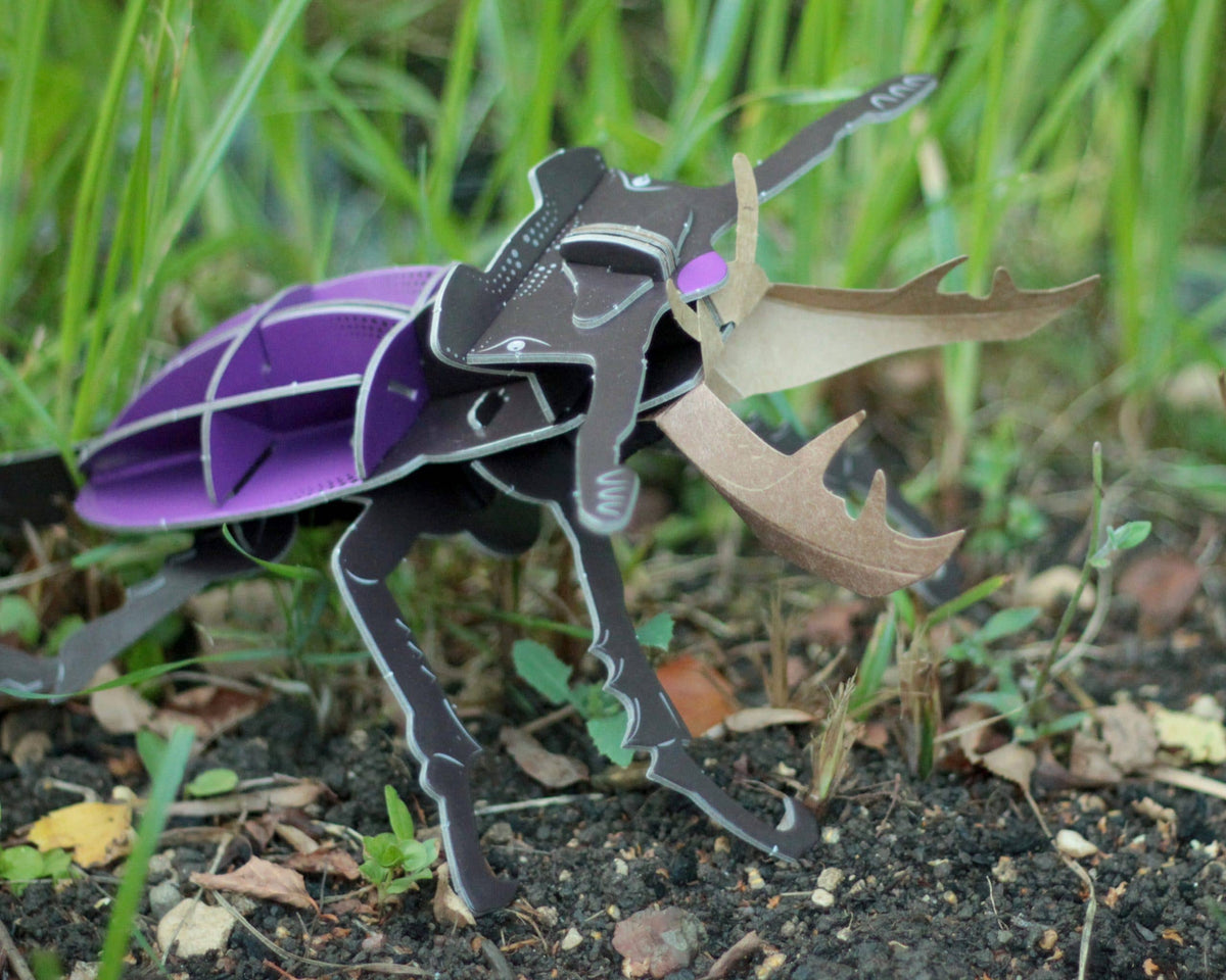 Build Your Own Stag Beetle - Eco-Friendly Craft Kit