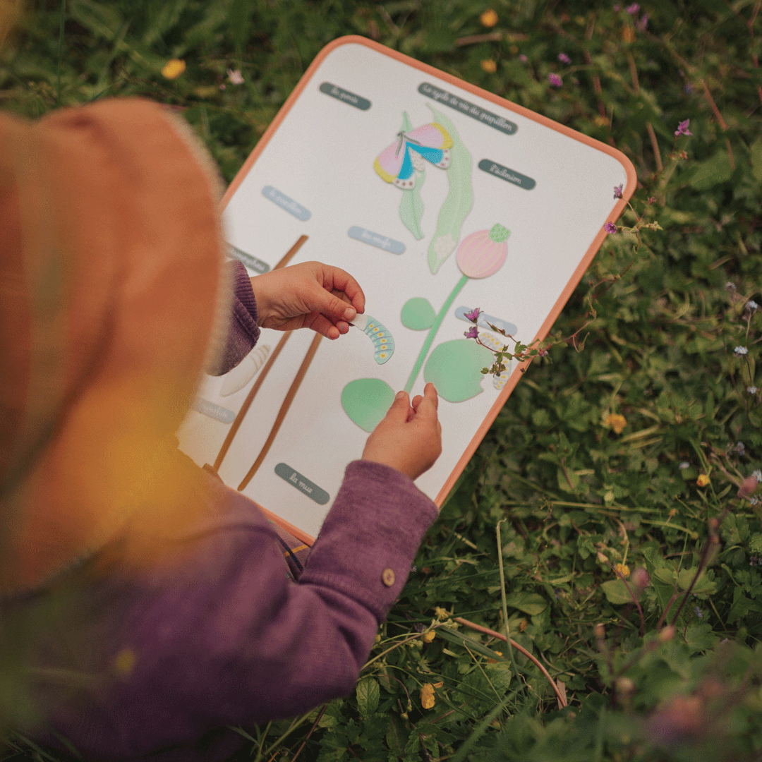 The Butterfly Cycle magnetic game