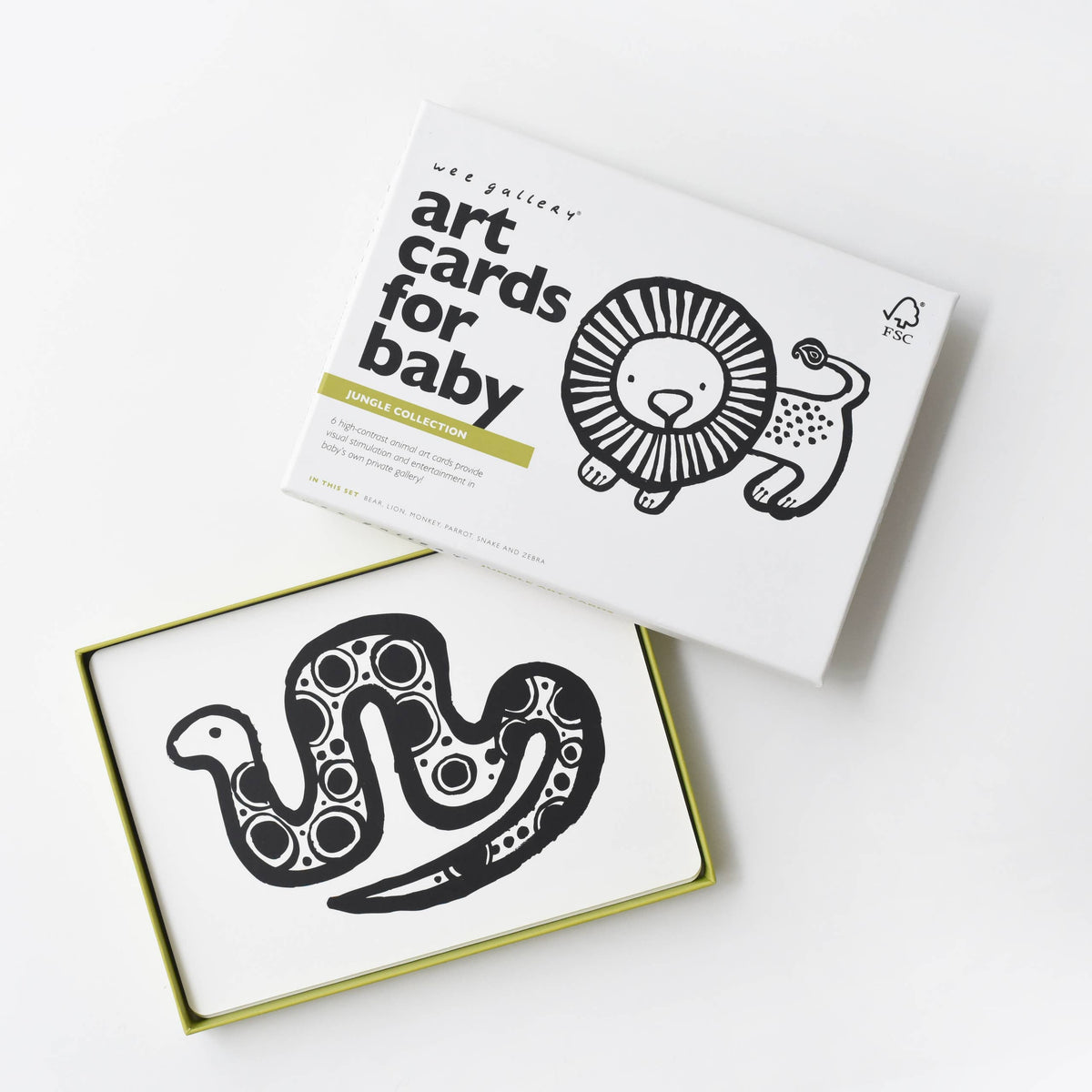 Art Cards for Baby - Jungle Animals - Infant Flash Cards