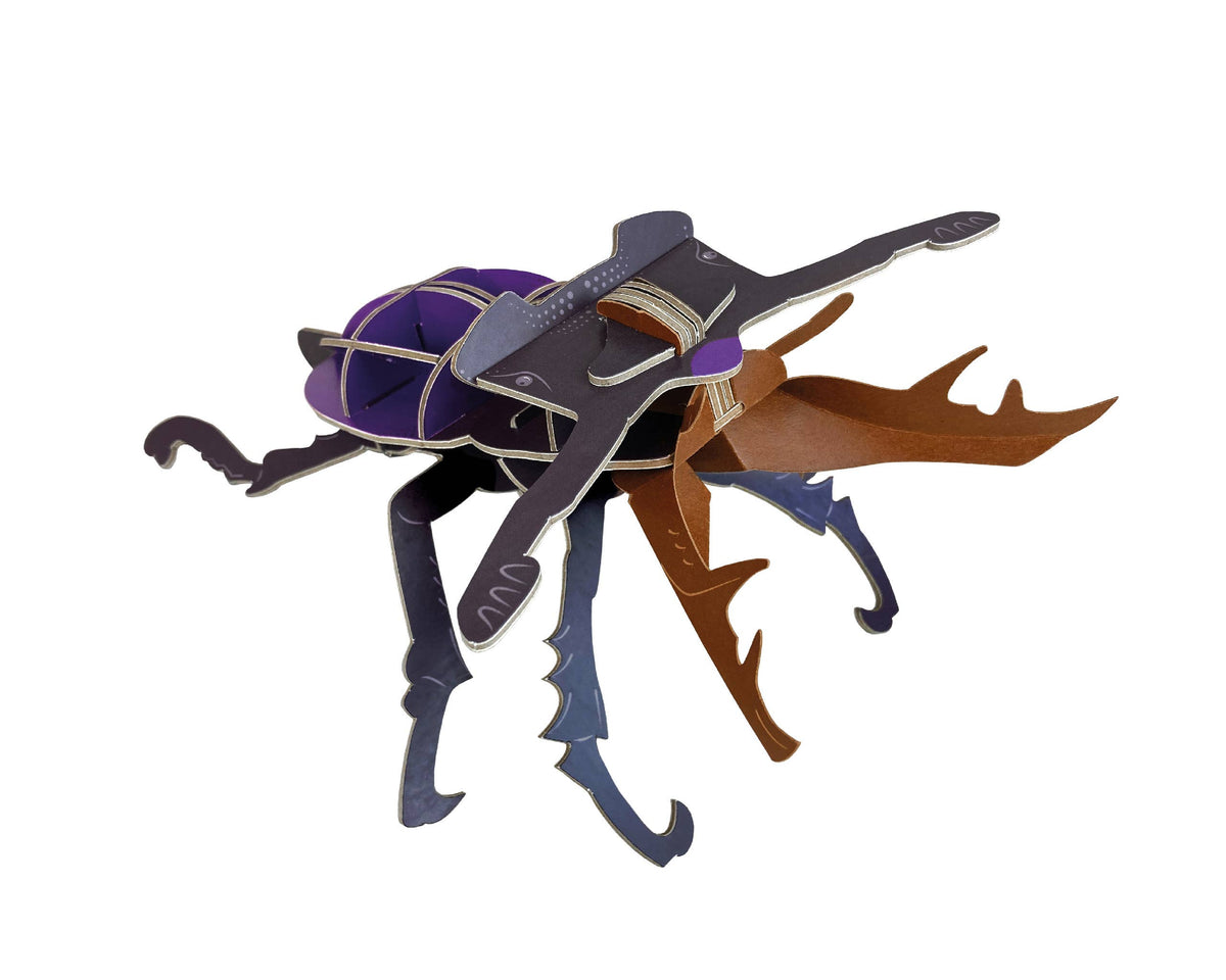 Build Your Own Stag Beetle - Eco-Friendly Craft Kit