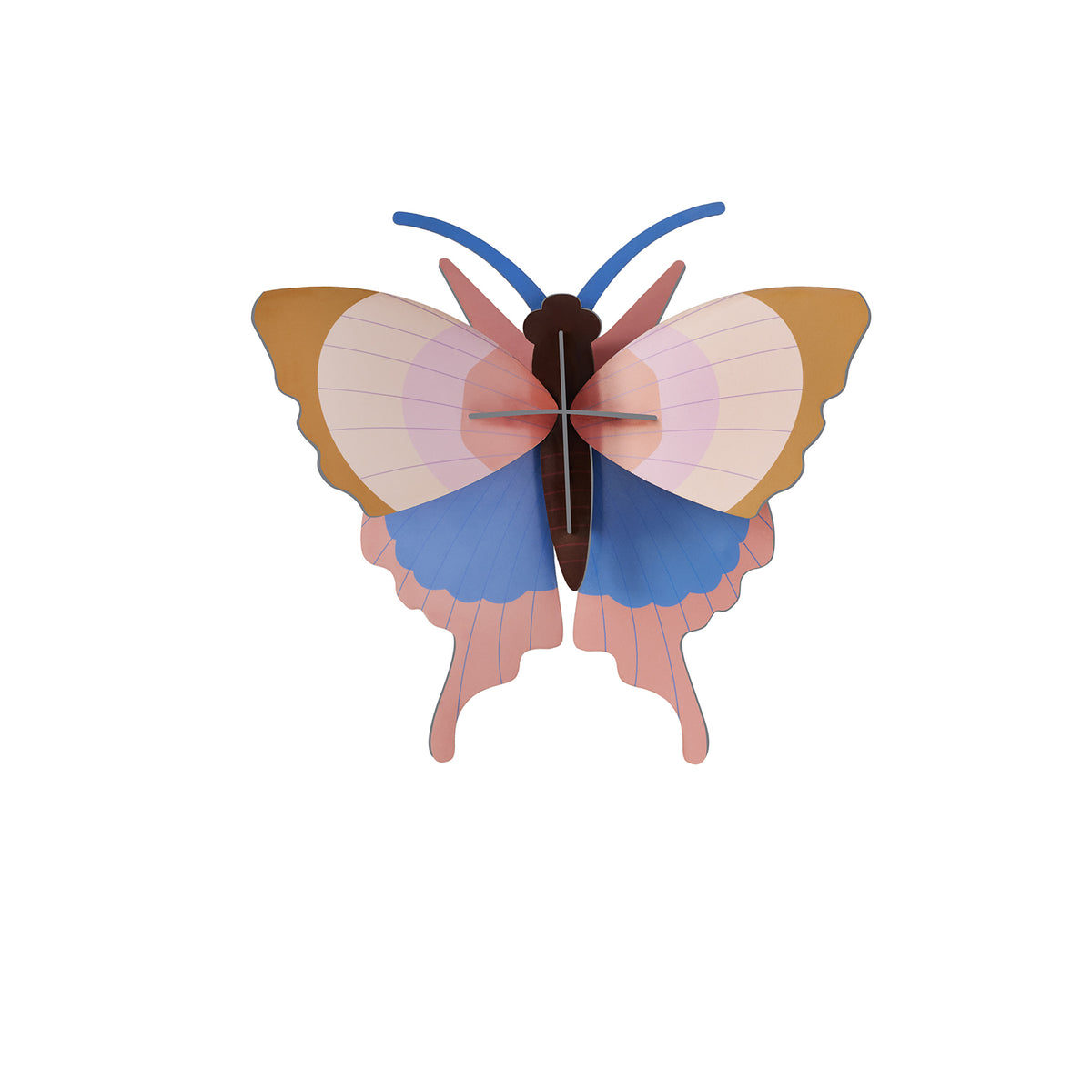 Insect Set - Gold Rim Butterflies
