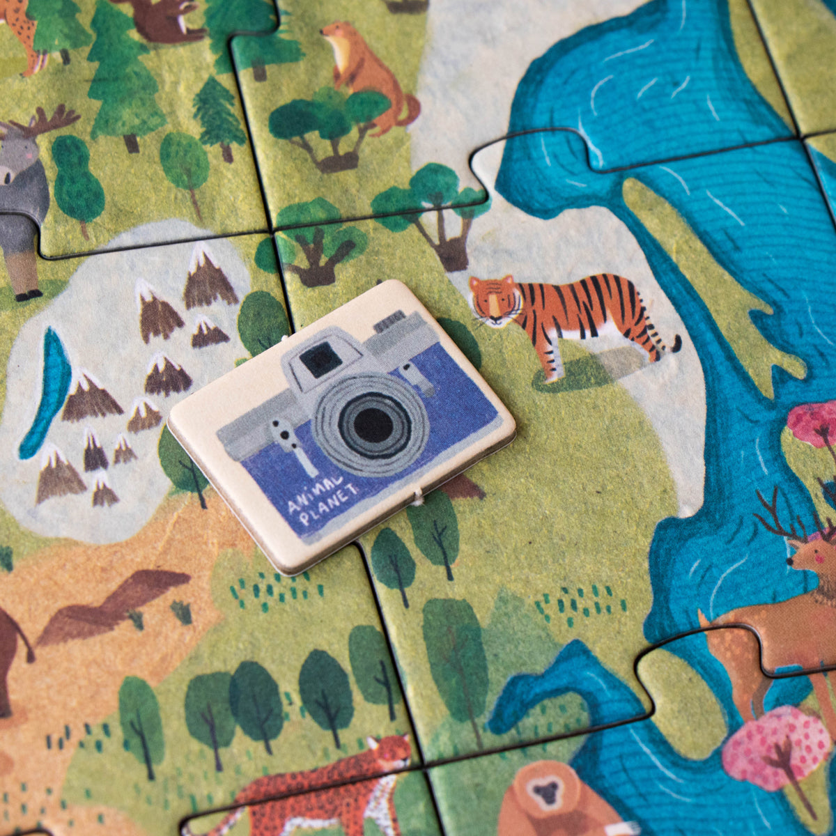 A close-up of an Animal Planet puzzle piece with a blue camera token placed on a map of Asia, showcasing a tiger, deer, and other regional animals.