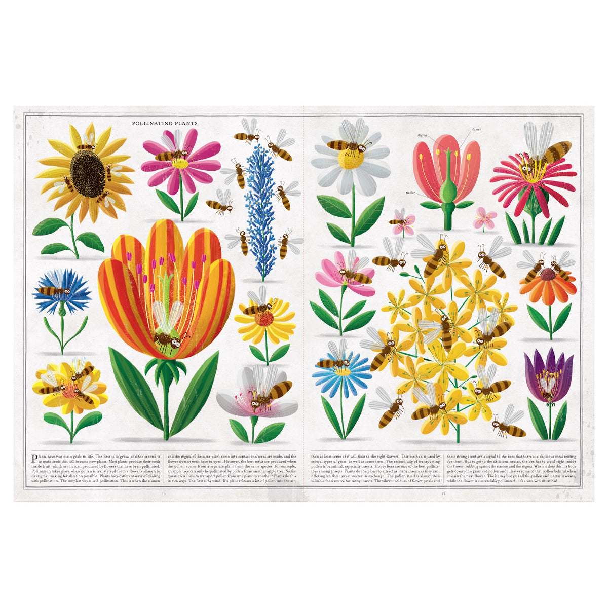 Colorful illustration of various pollinating plants including sunflowers, tulips, and daisies, with bees hovering. Vibrant and lively tone.
