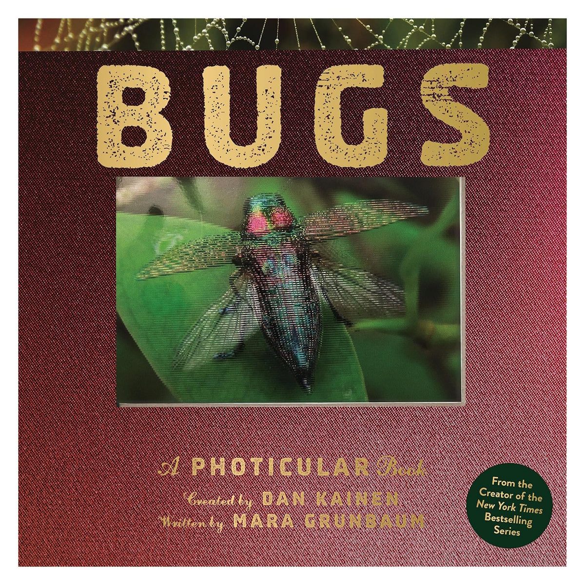 Bugs: A Photicular Book cover by Dan Kainen and Mara Grunbaum, featuring a 3D lenticular image of an iridescent beetle.