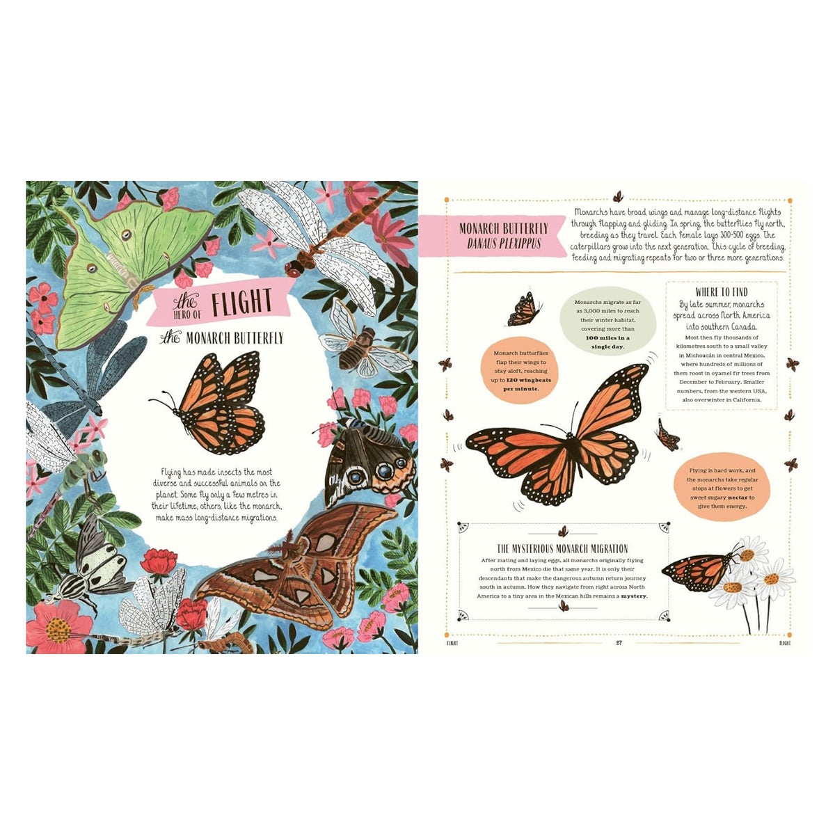 Book spread about the Monarch Butterfly featuring illustrated insects among flowers and facts about migration and flight.