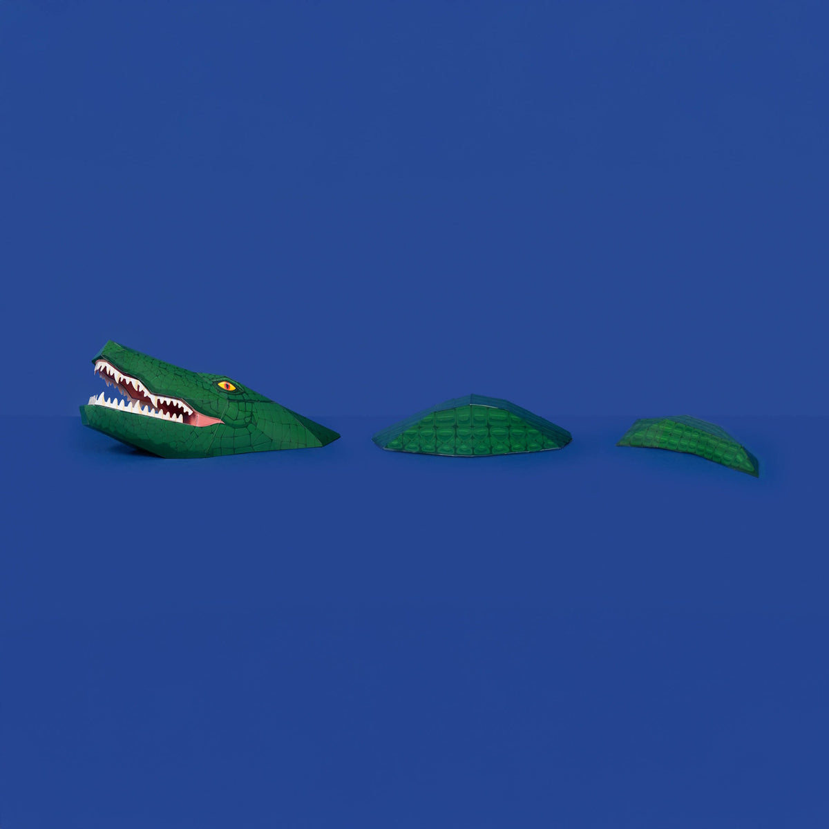 A 3D papercraft crocodile made of green segments appearing to swim across a solid blue background.