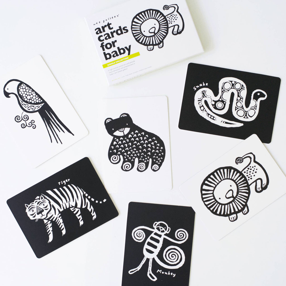 Art Cards for Baby - Jungle Animals - Infant Flash Cards