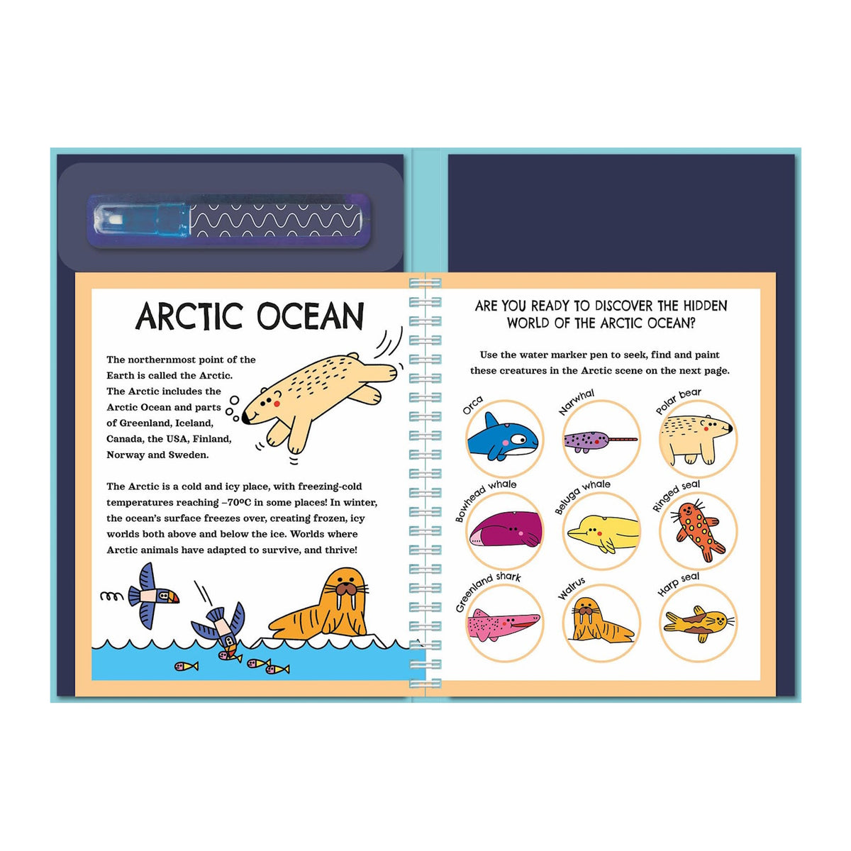 Spiral-bound book open to Arctic Ocean-themed pages. Left page has a polar bear illustration and text about the Arctic. Right page features circles with cartoon animals like orca and narwhal, above a marker pen. The tone is educational and playful.