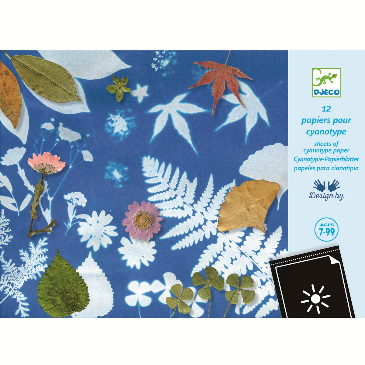 Djeco Paper - 12 Cyanotype Paper Sheets