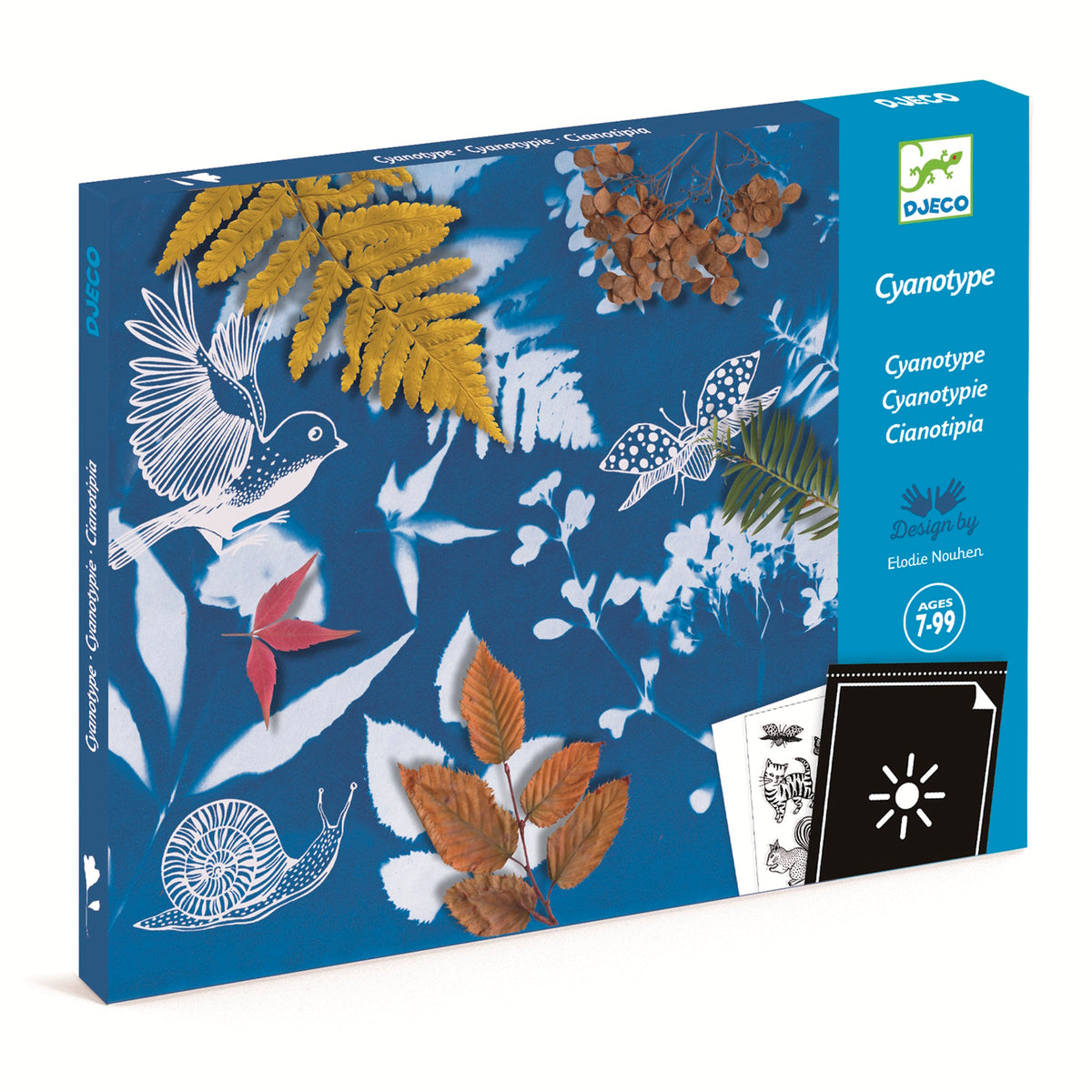 Djeco Cyanotype Starter Kit – Magic Blue Druck-Set, Für Kinder Ab 7, Mit 8 Blättern & Vorlagen