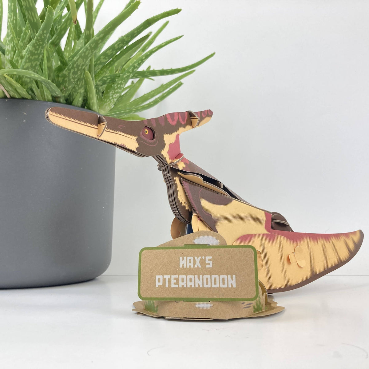 Build Your Own Pteranodon - Eco-Friendly Cardboard Craft Kit