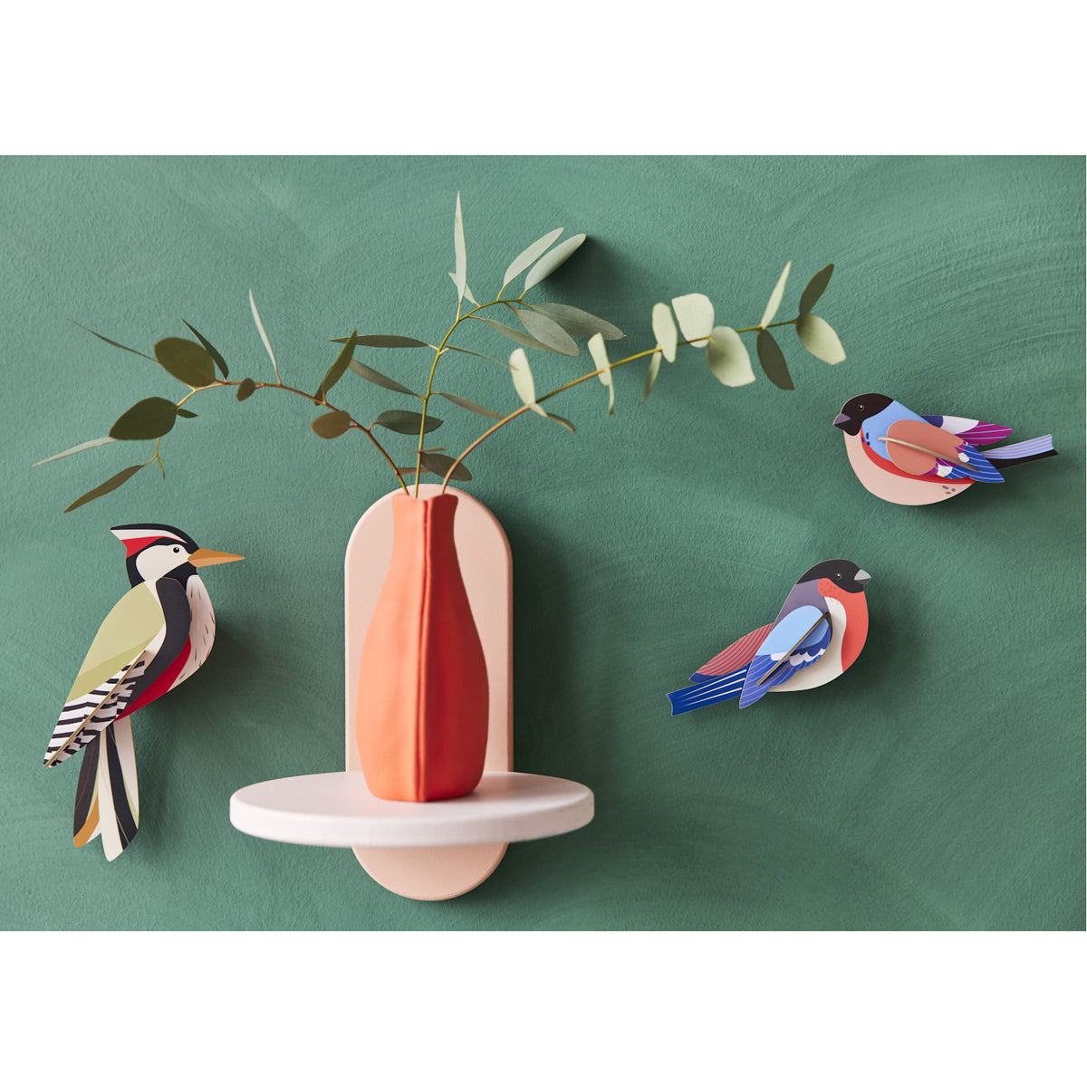 Studio Roof Garden Birds Woodpecker