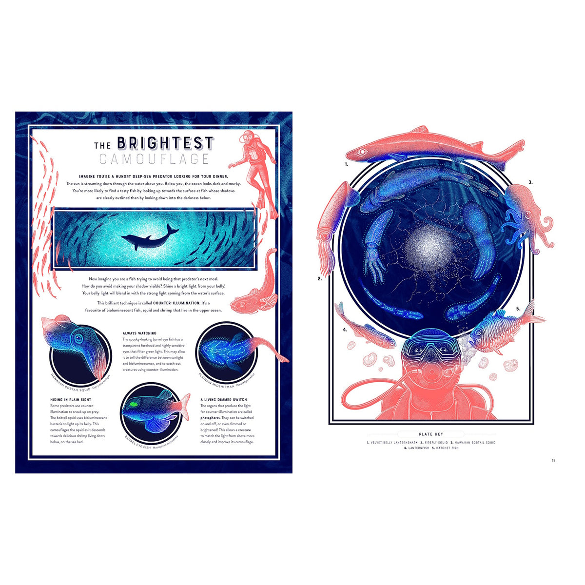Educational book spread about counter-illumination in sea creatures featuring bioluminescent fish and a deep-sea diver.