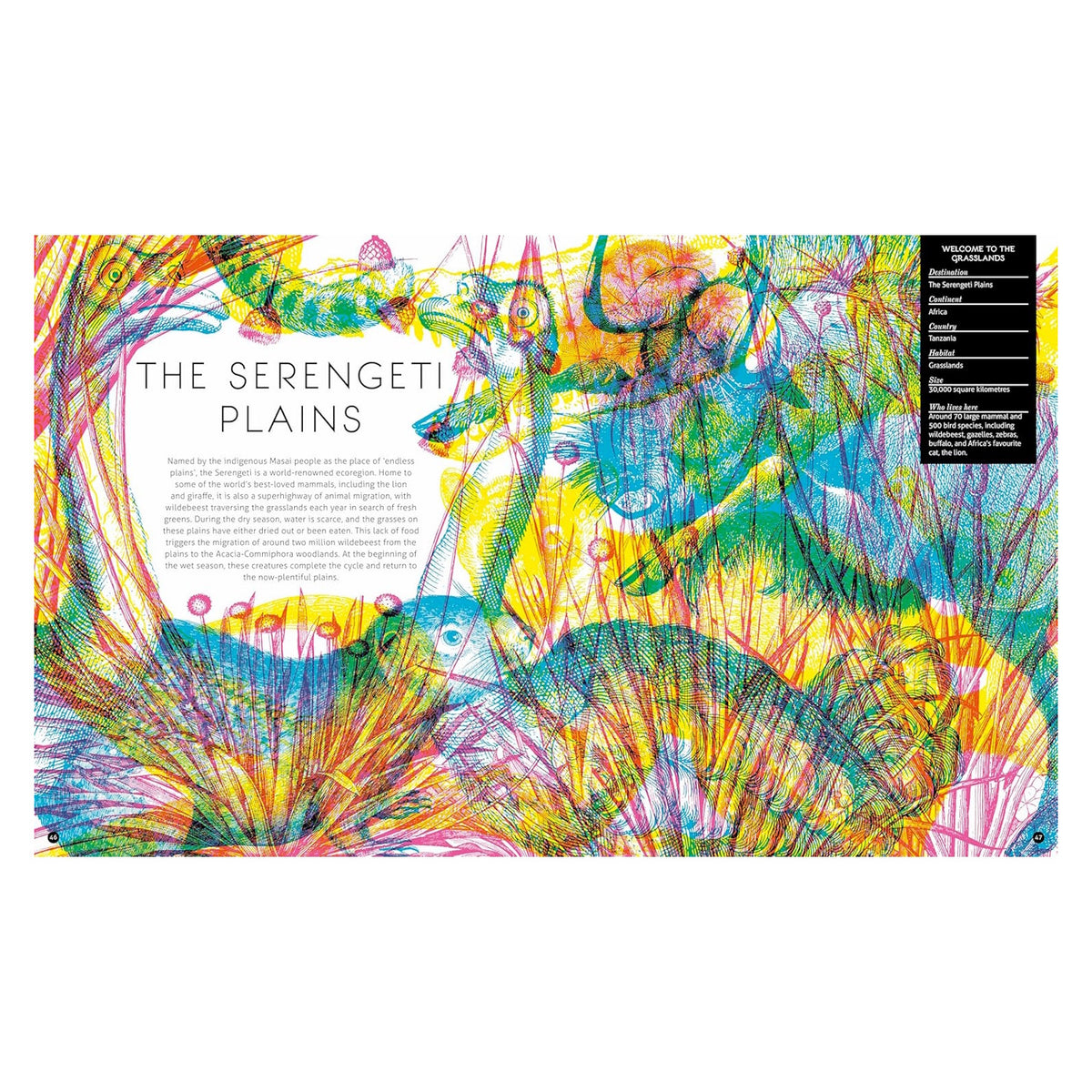 Colorful illustration of Serengeti Plains wildlife with artistic line art, featuring zebras and birds in Tanzania.