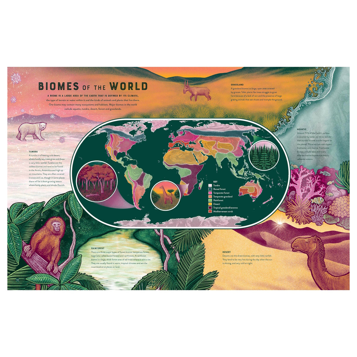 World map illustration of global biomes with colorful regions, wildlife, and nature descriptions.