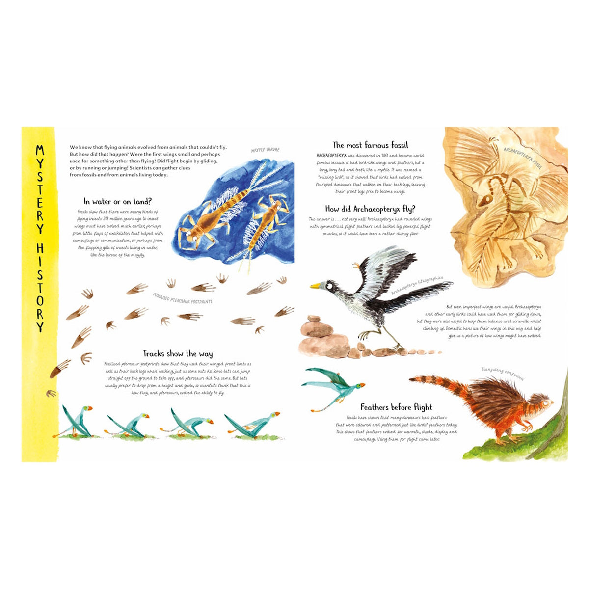 Educational book spread about the history of flight, featuring Archaeopteryx fossils and illustrations of early dinosaurs.