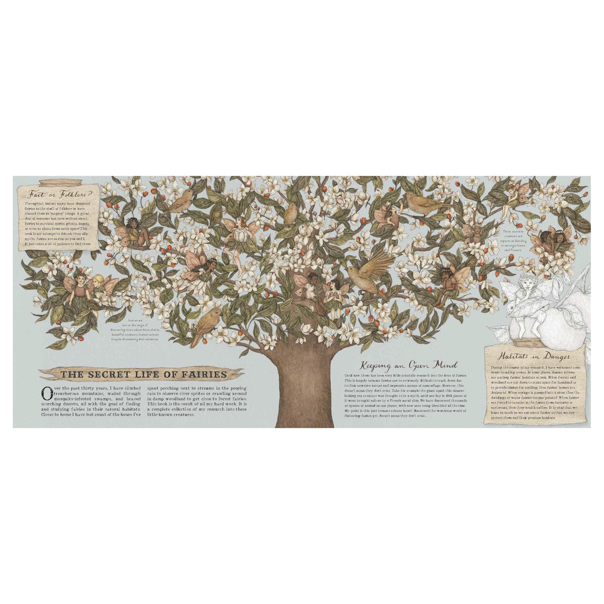 Illustration of a large tree filled with fairies, birds, and flowers against a light blue background. Text reads “The Secret Life of Fairies.” A whimsical, enchanting scene.