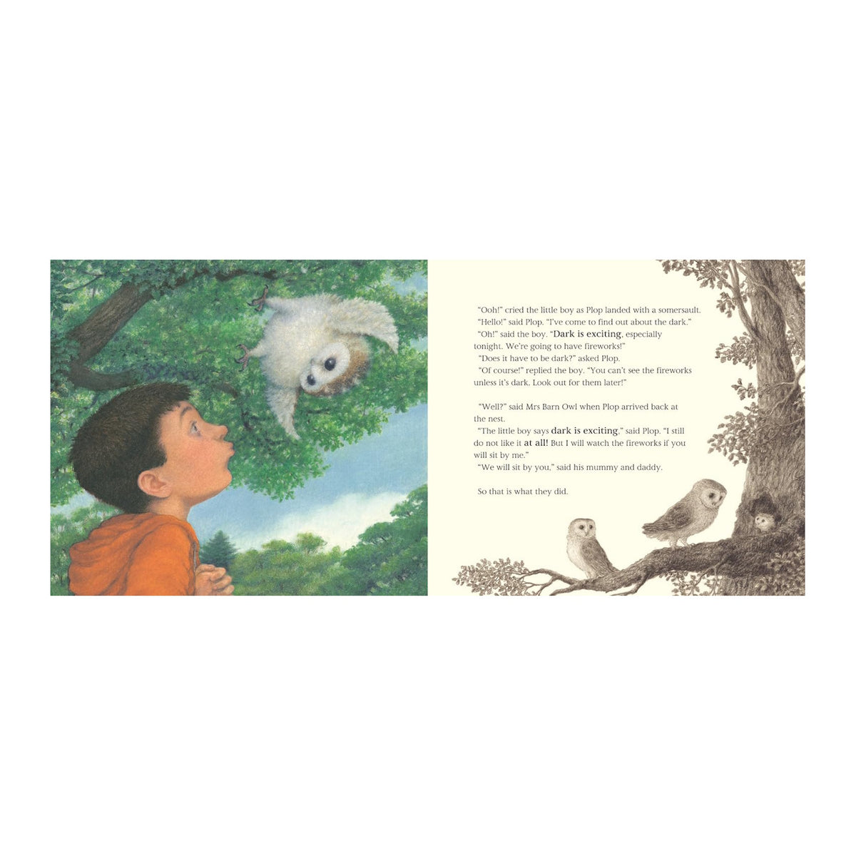 Illustration of a boy in an orange hoodie looking up at a fluffy white owl perched on a tree branch. Text on the right describes a story scene.