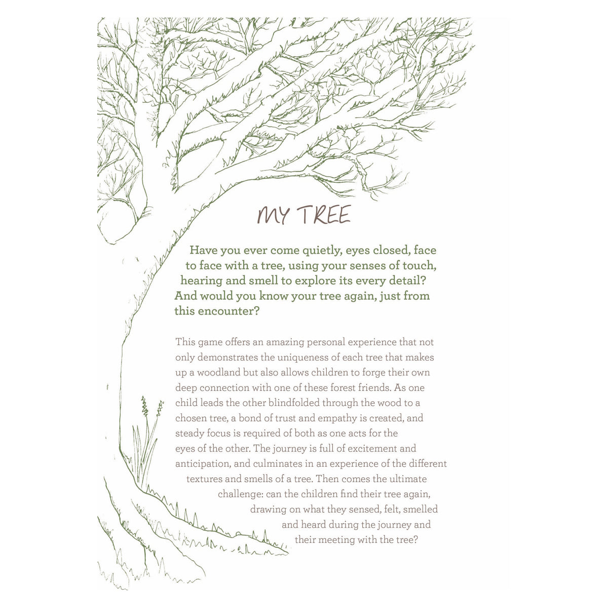 Book page titled 'MY TREE' with descriptive text framed by a fine line illustration of a large bare tree.