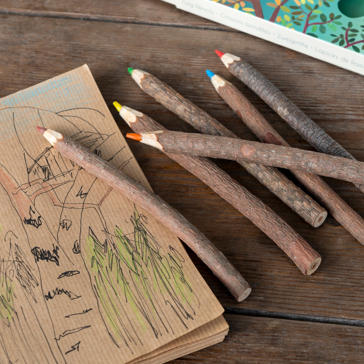 Rustic, twig-like colored pencils in red, orange, green, blue, and yellow rest on a wooden table beside a kraft paper sketch of trees.