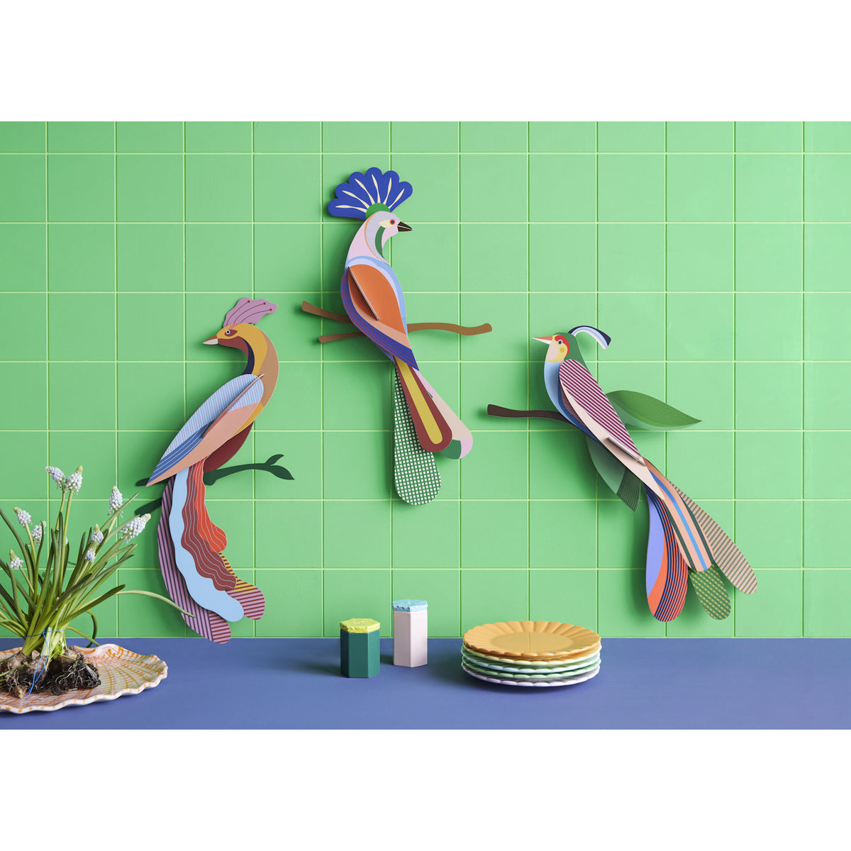 Studio Roof Paradise Bird - Tinjil
