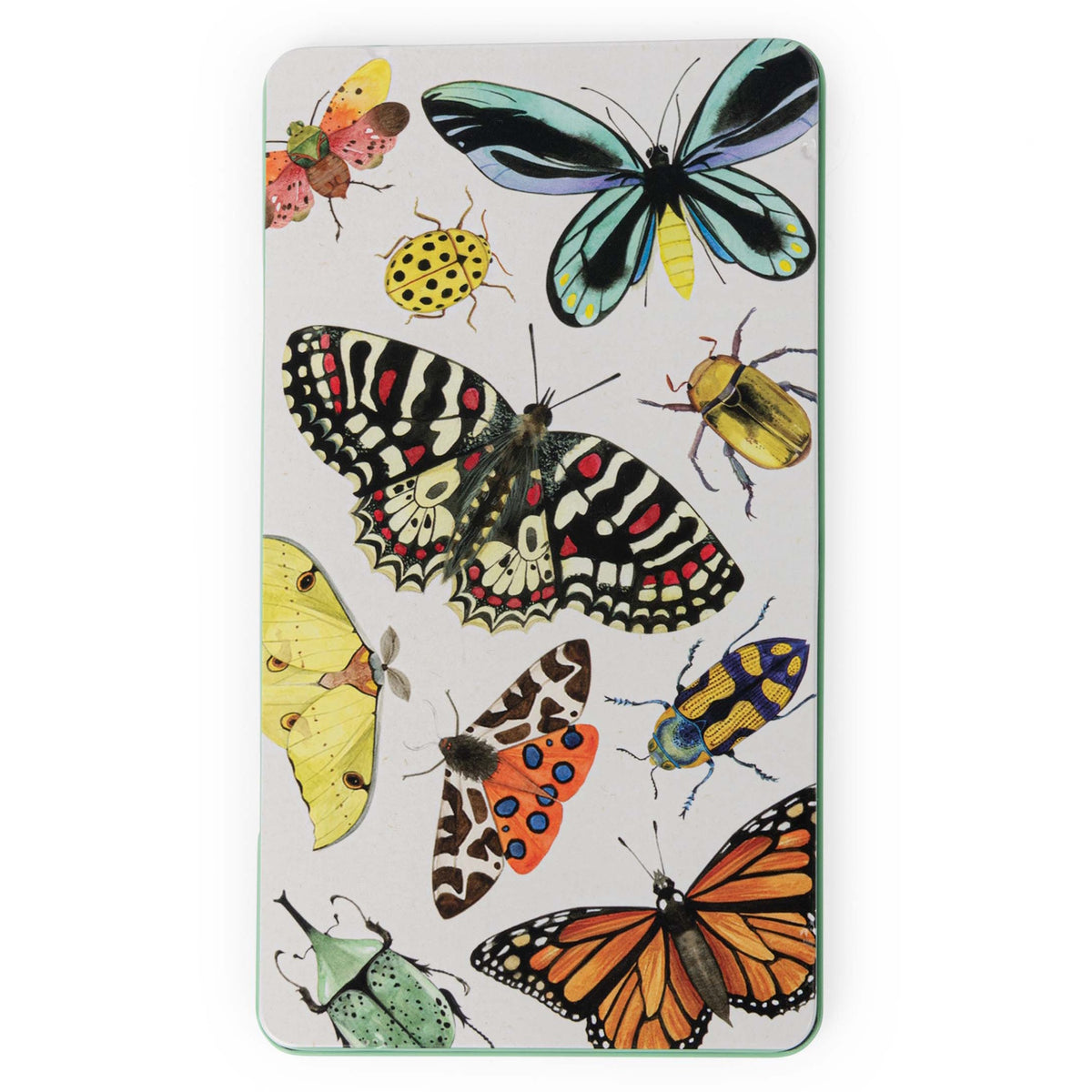 Colorful illustration of various butterflies, beetles, and insects on a white tin pencil case lid.