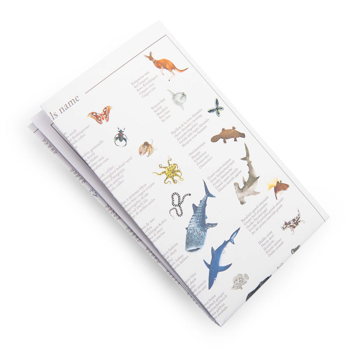 Multi-language animal identification guide featuring a kangaroo, whale shark, and platypus with various wildlife species.