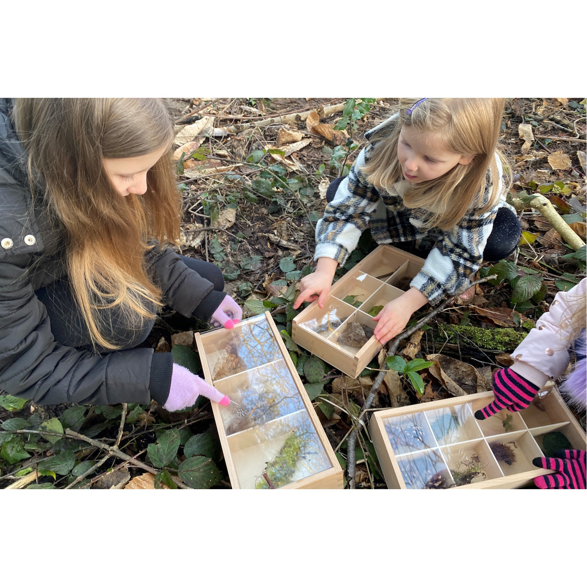 Wooden Discovery Boxes