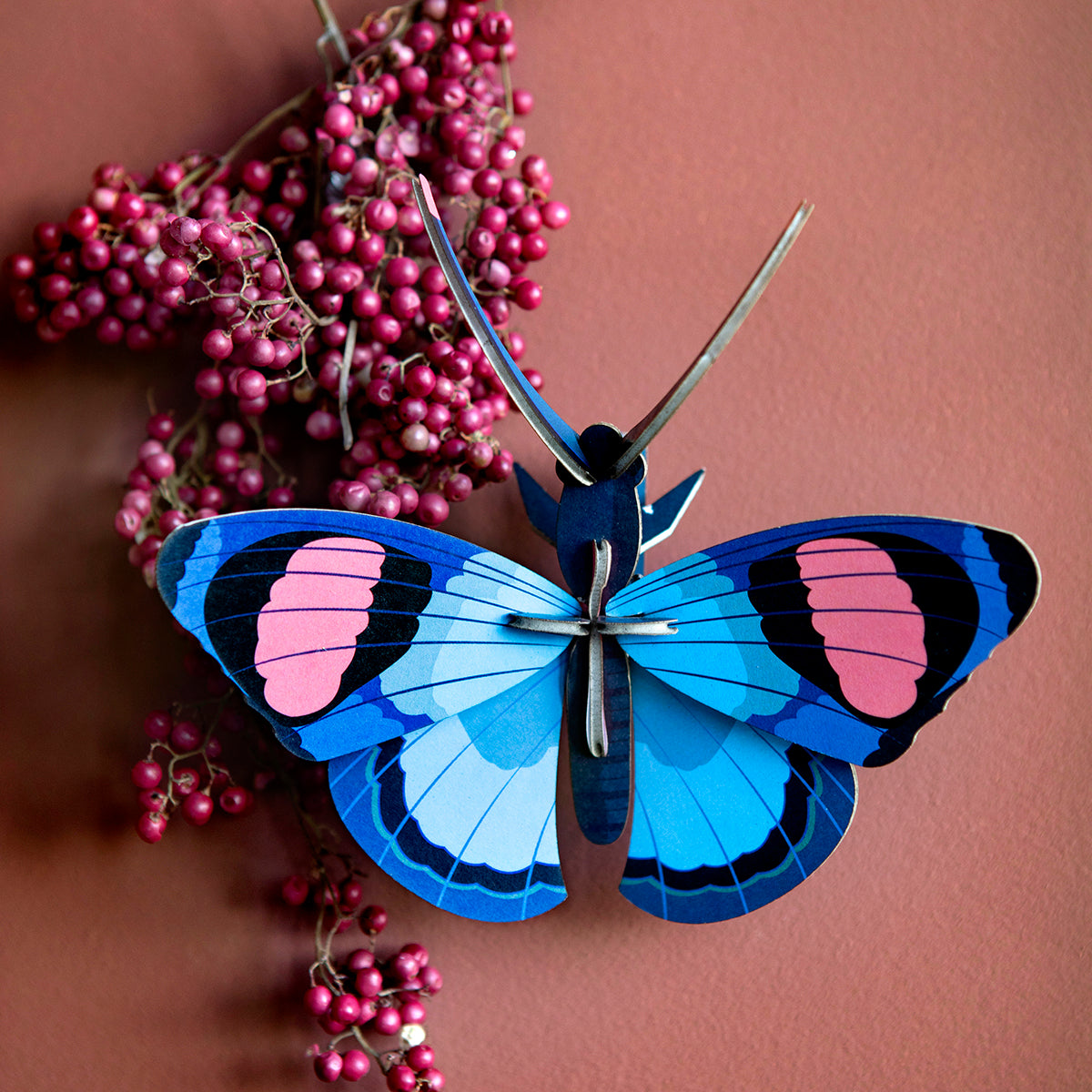 Insects Small - Peacock Butterfly