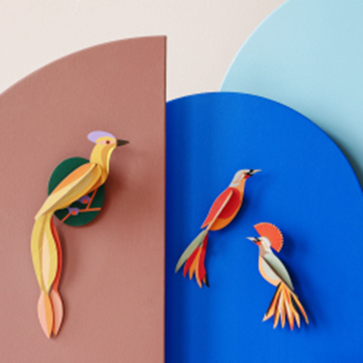 Birds - Paradise Bird Obi (Pair)