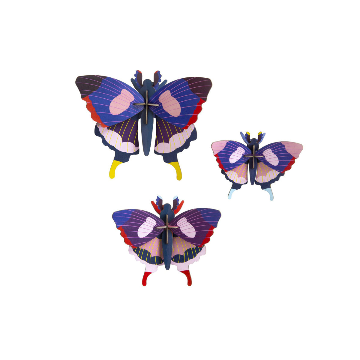 Insect Set - Swallowtail Butterflies