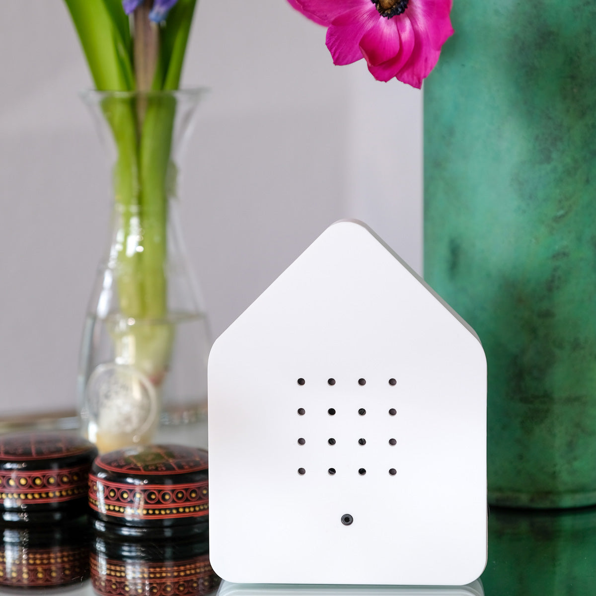 Incredible Birdsong Sound Box