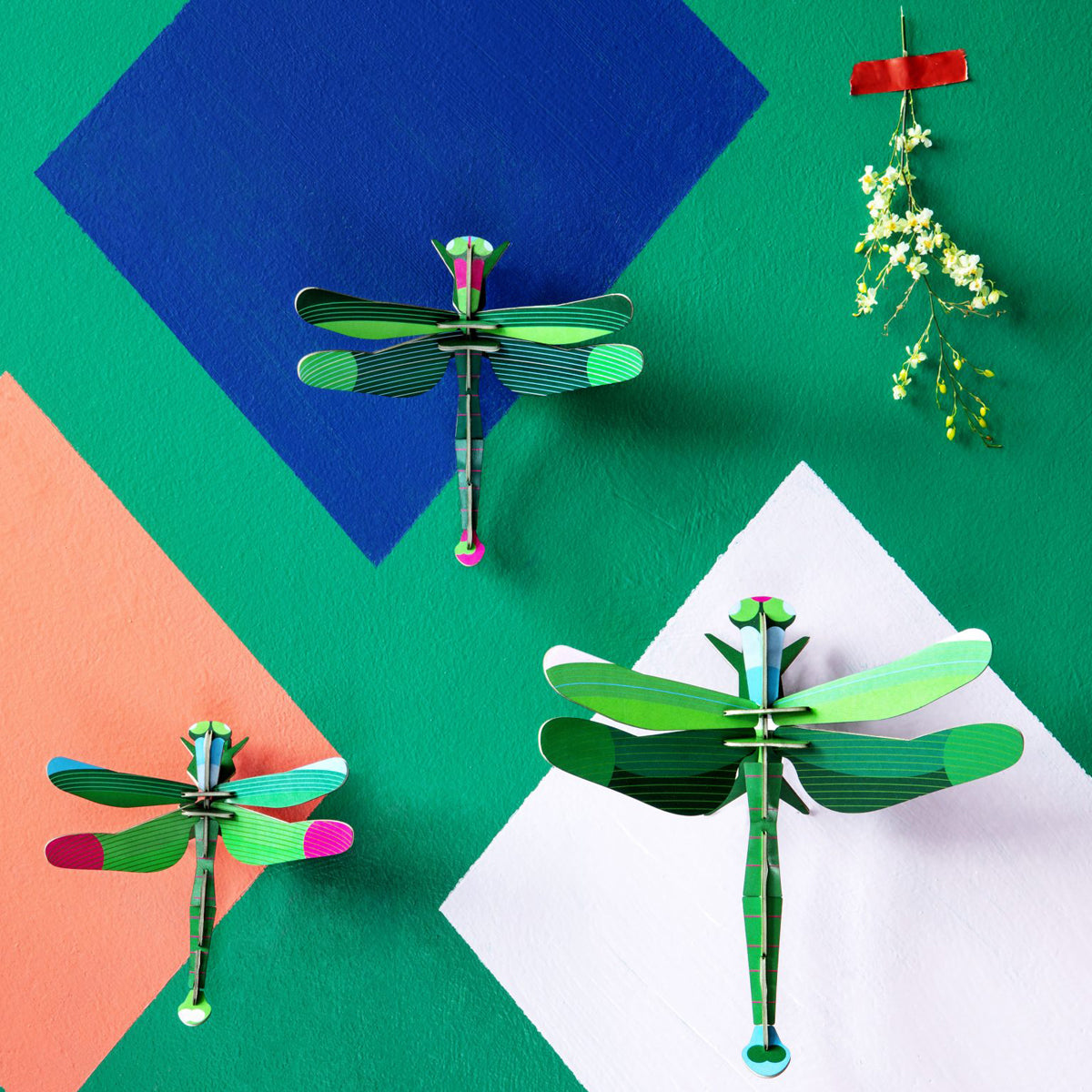 Insect Set - Dragonflies