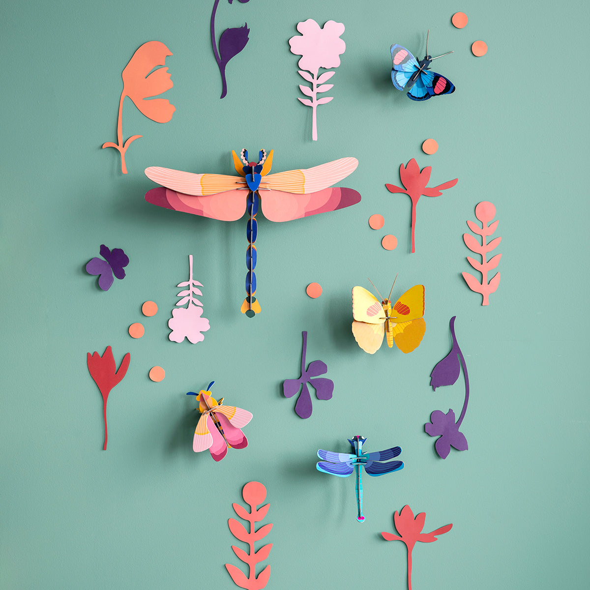 Wall of Curiosities - Insect Connoisseur