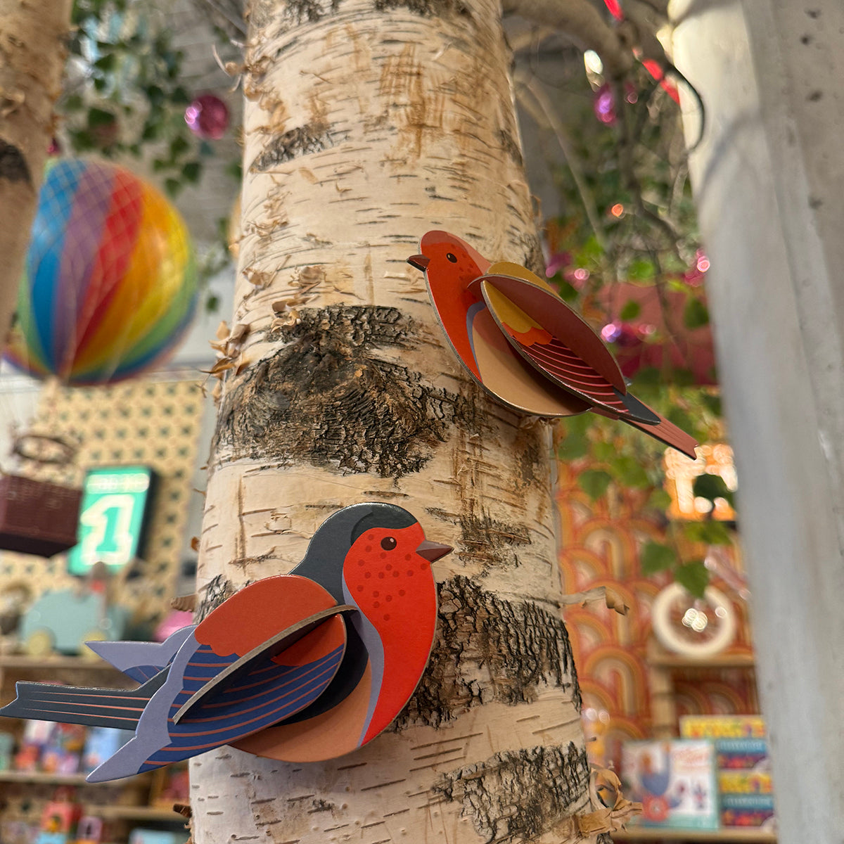 Bird Spotting