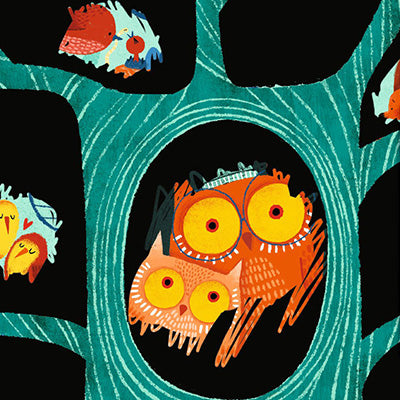 Djeco Craft Kits
