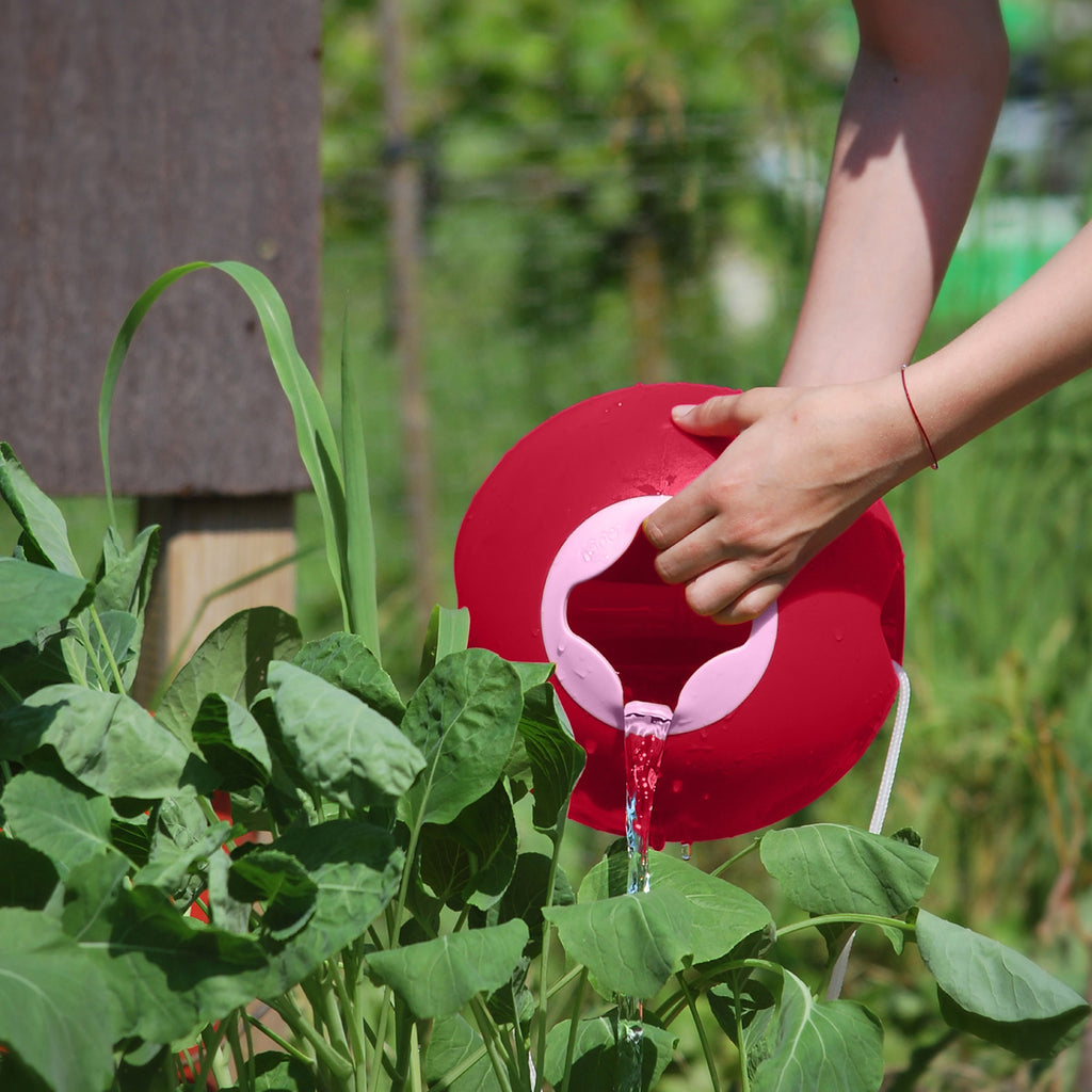 Outdoor Play