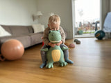 Bouncing Friend - Dinosaur