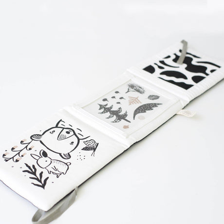 Baby Tummy Time Gallery Gift Set with Contrast Flash Cards