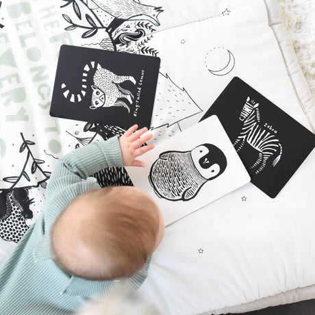 Art Cards for Baby - Black and White Animals - Flash Cards