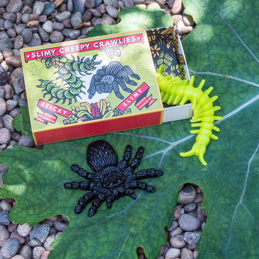 Slimy creepy crawlies in a box – My Small World Toy Store