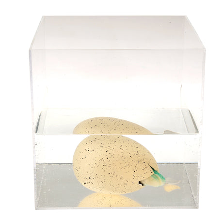 Giant Hatching egg - Prehistoric Land