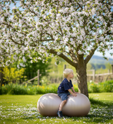 Sensory Peanut Ball