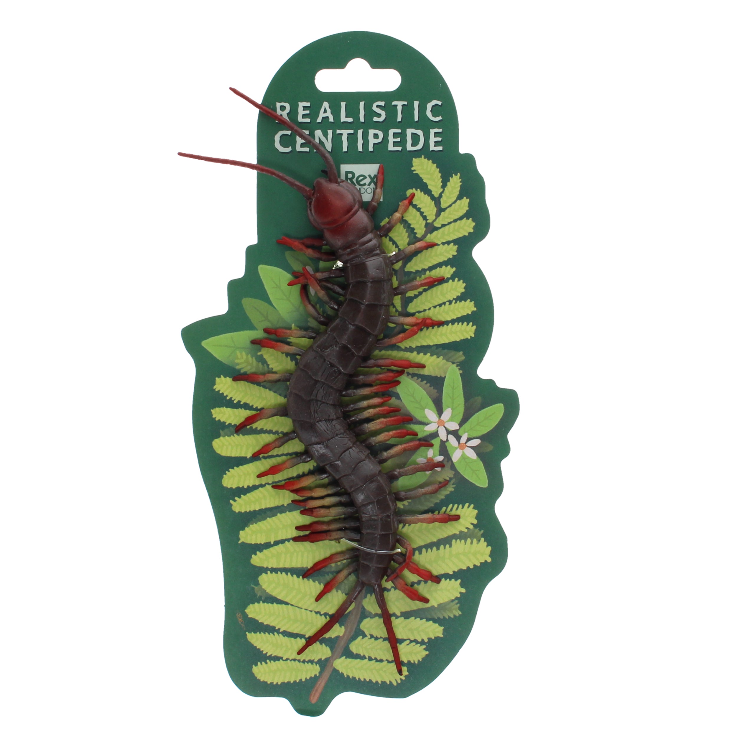 Realistic Centipede Toy My Small World Toy Store