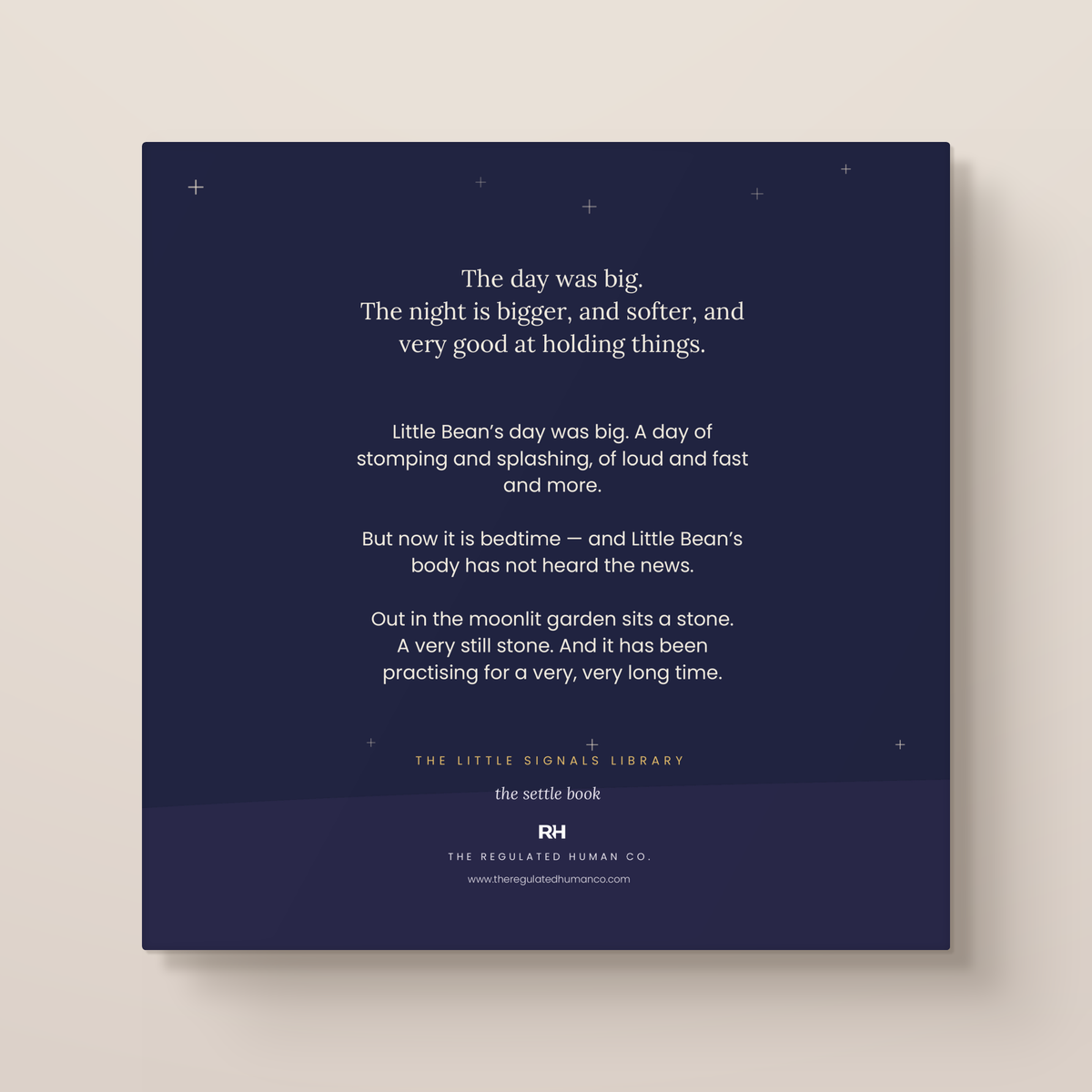The Sleepy Stone: A Calming Bedtime Story for Busy Little Bodies