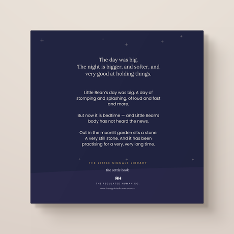 The Sleepy Stone: A Calming Bedtime Story for Busy Little Bodies