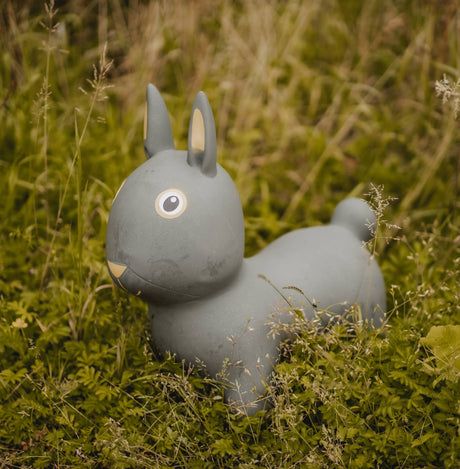 Bouncing Friend - Rabbit