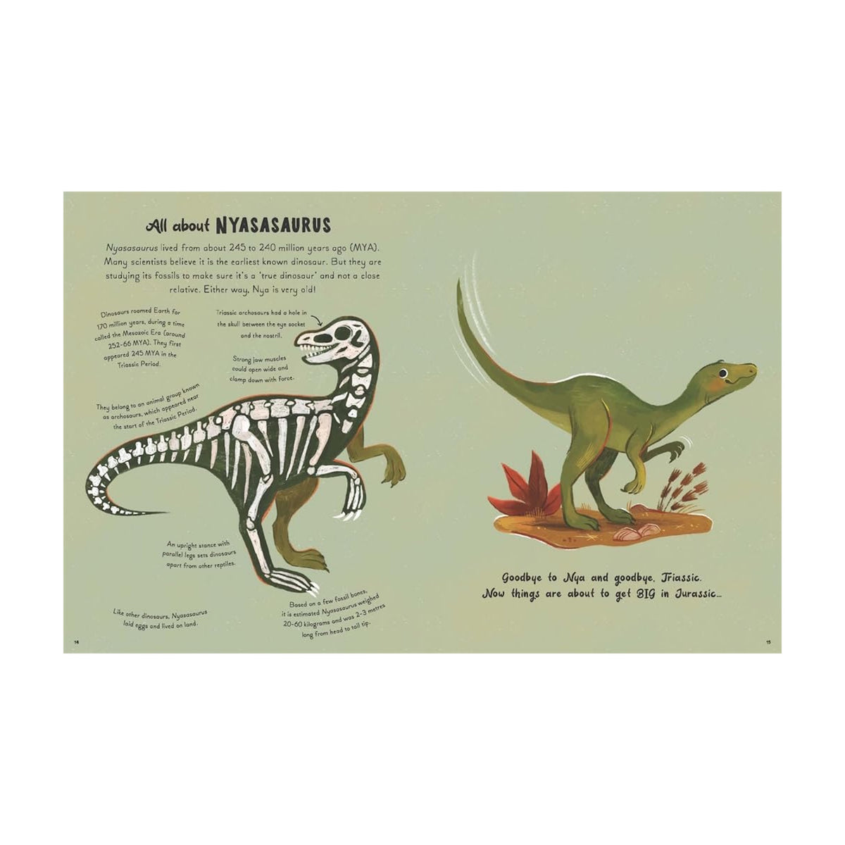 Illustration of Nyasasaurus on a light green background. Left: Skeleton with labels. Right: Green dinosaur near rocks, with text about dinosaur history.